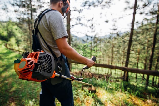 Calculate Payment Image