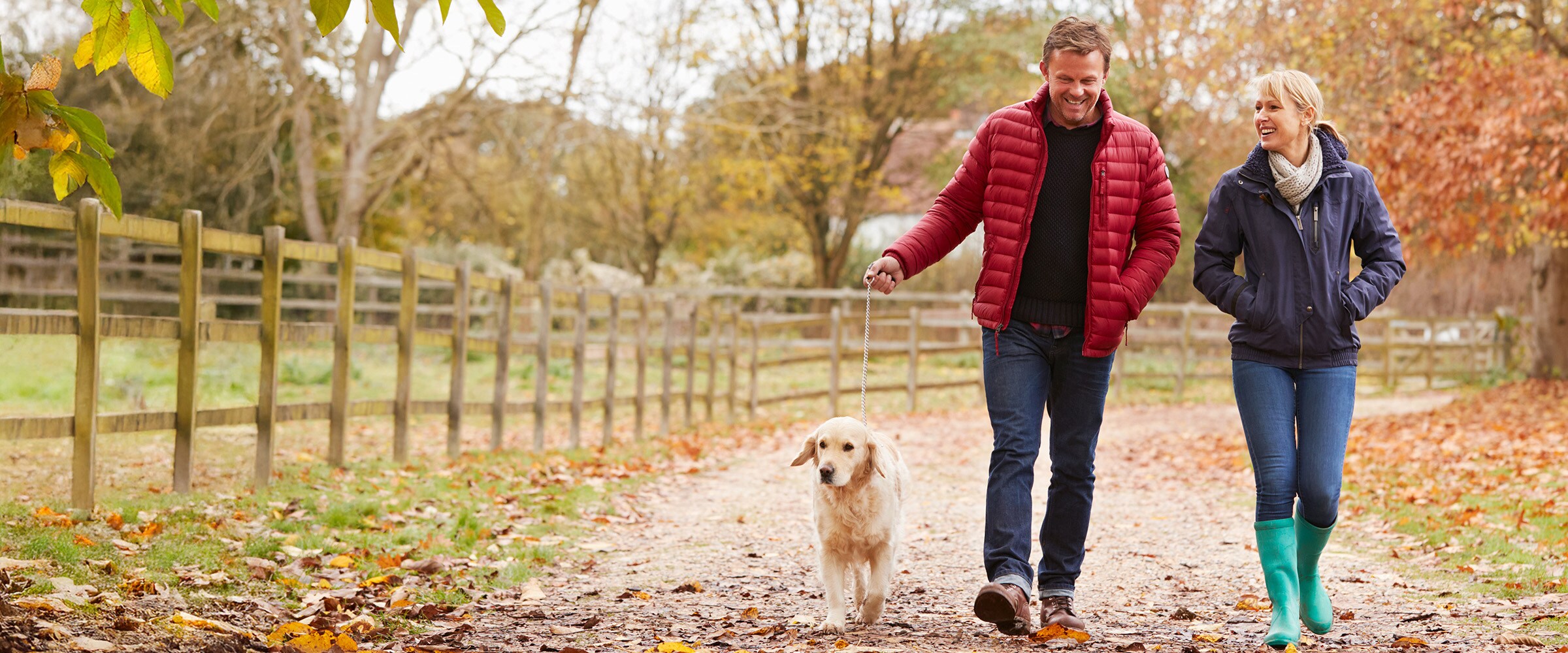 Photo of couple walking down a country road with a dog.