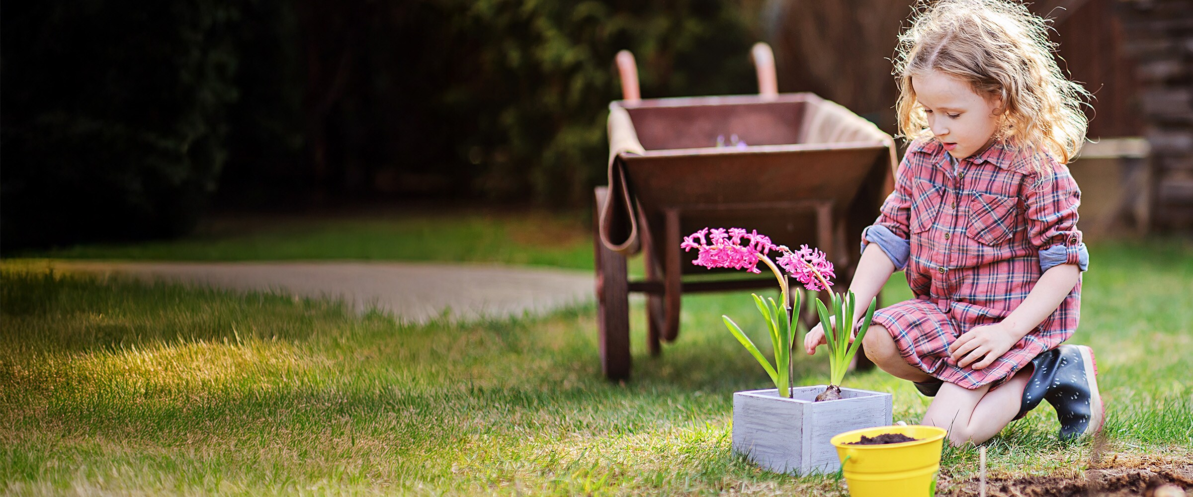Photo of young girl tending to a flower in a flower pot in a green grass yard.
