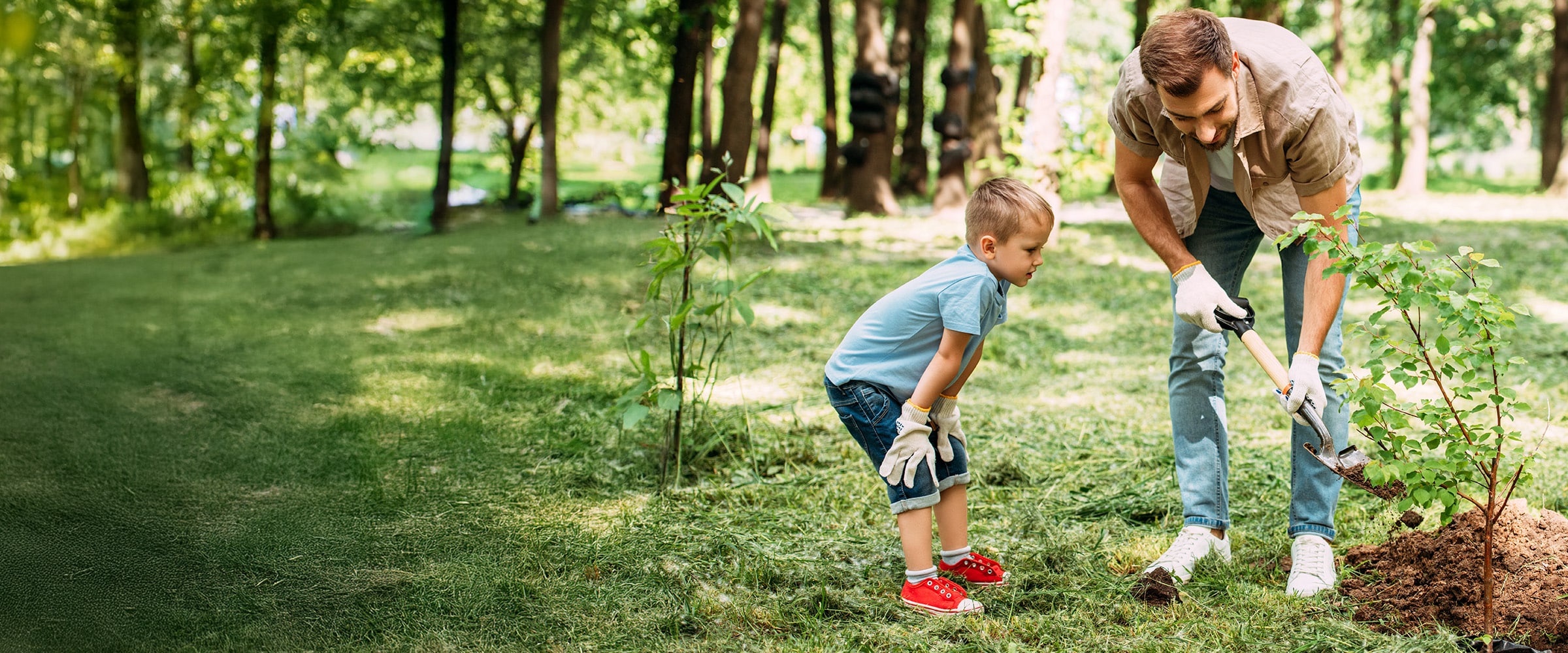 Photo of dad planting a tree with his daughter.