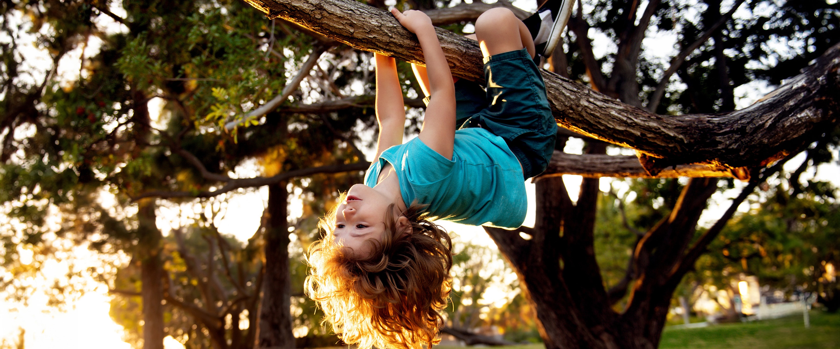 Photo of a child hanging upside down from a tree.