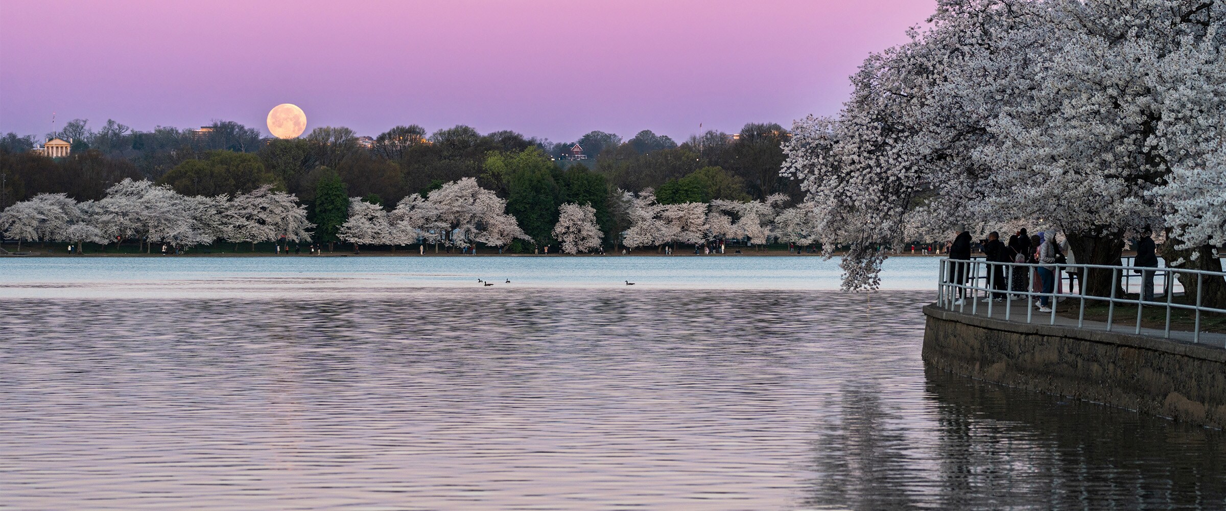 Photo of water with moon overlooking the water.