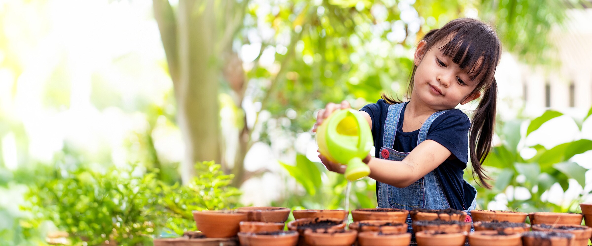 Photo of young girl watering a plant.