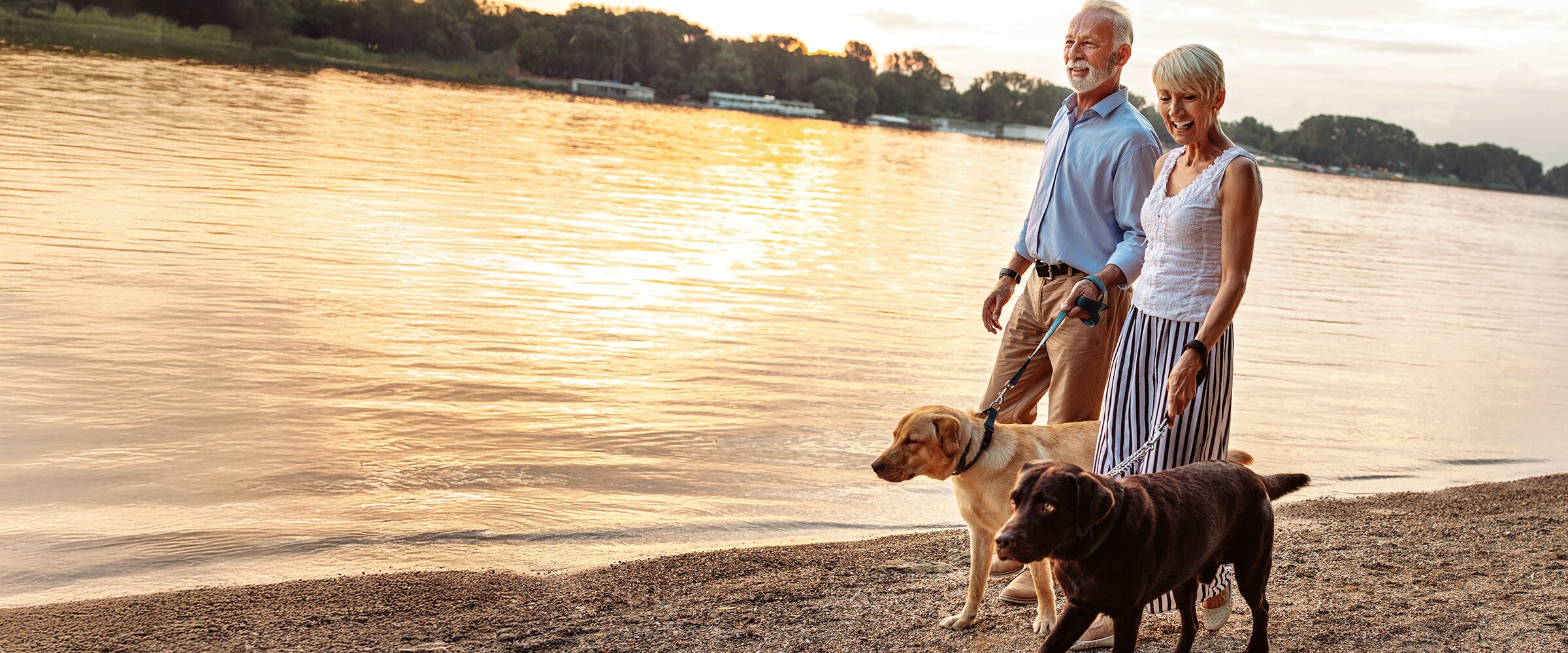 Photo of couple walking with dogs along a shoreline.