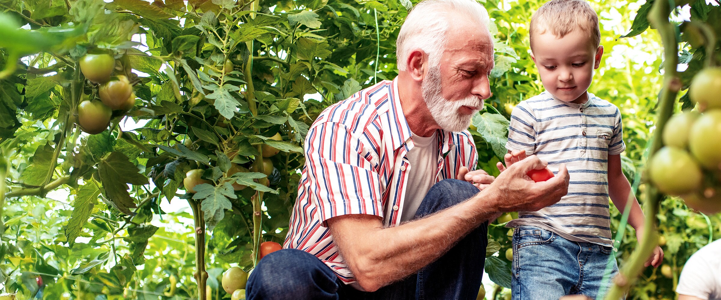 Photo of older man sharing a moment with grandchild.