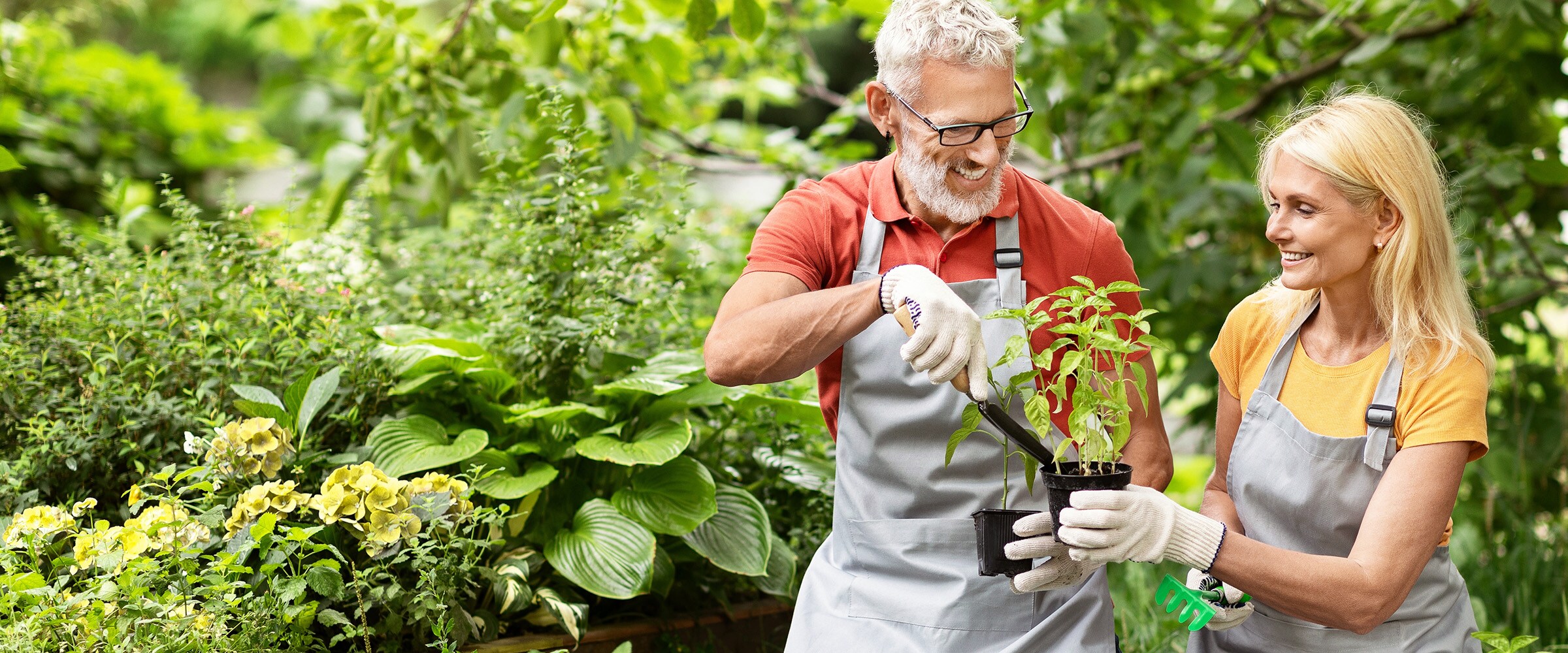 Photo of older couple working in their garden.
