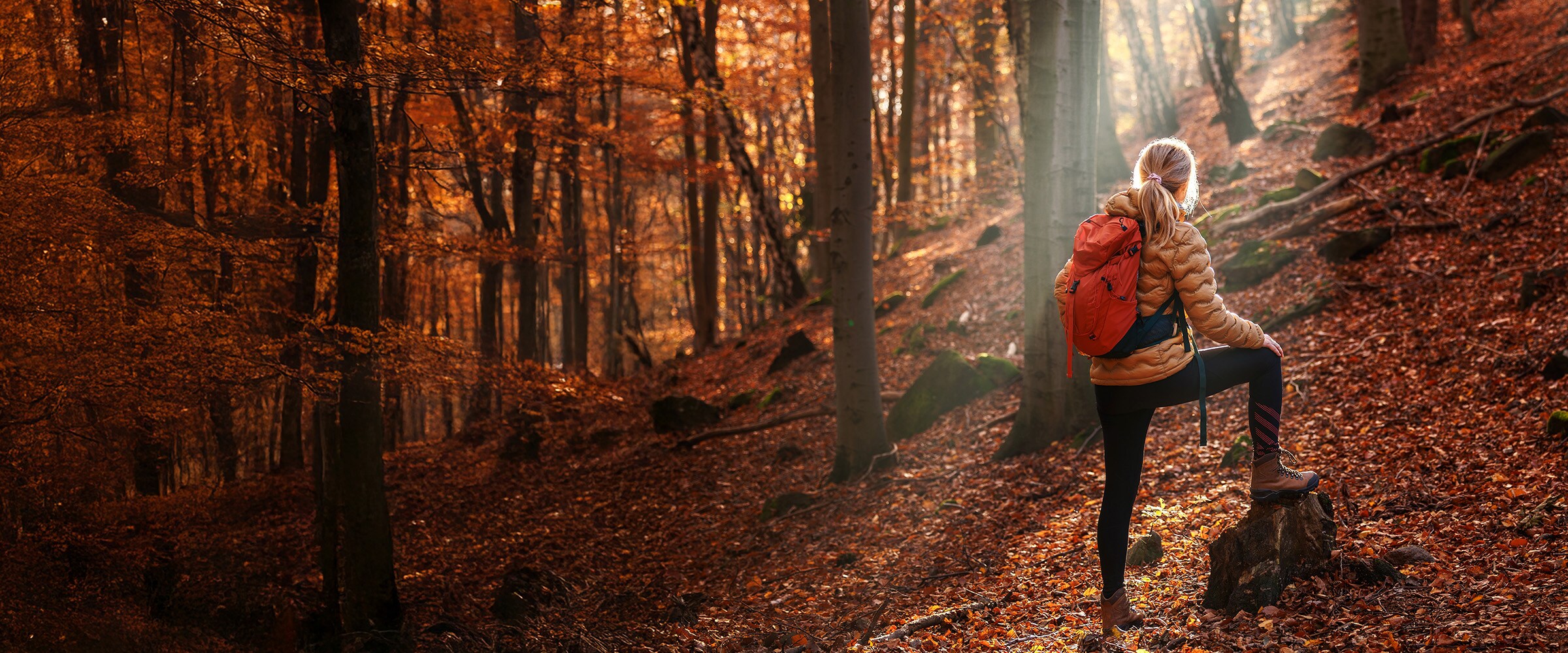 Photo of woman in hiking gear climbing a forested hill.