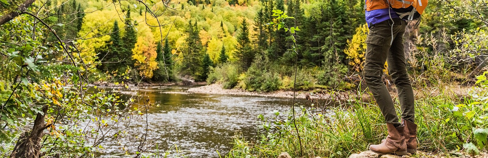 A river flowing through autumn trees