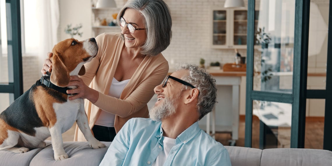 Photo of older couple around couch playing with a small dog.